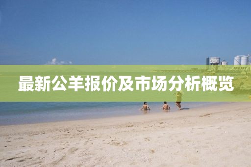 最新公羊報價及市場分析概覽