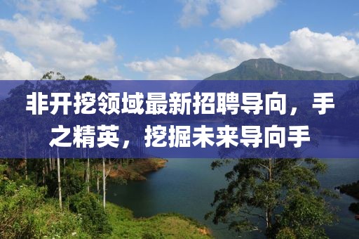 非開挖領域最新招聘導向，手之精英，挖掘未來導向手