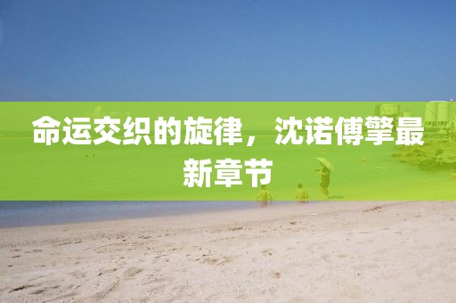 命運交織的旋律,沈諾傅擎最新章節