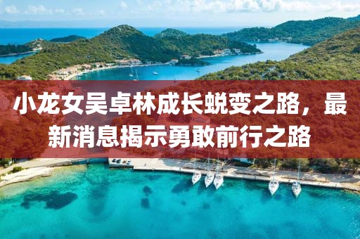 小龍女吳卓林成長蛻變之路,最新消息揭示勇敢前行之路