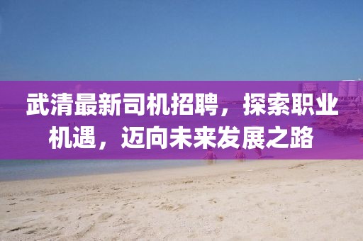 武清最新司機招聘,探索職業機遇,邁向未來發展之路