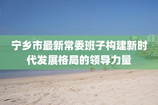 寧鄉市最新常委班子構建新時代發展格局的領導力量