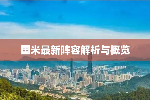 國(guó)米最新陣容解析與概覽