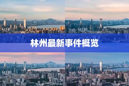 林州最新事件概覽