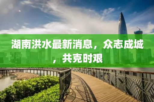 湖南洪水最新消息,眾志成城,共克時(shí)艱
