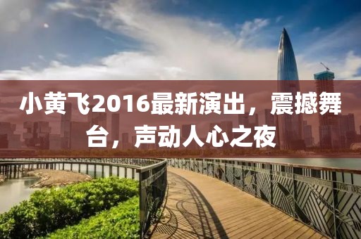 小黃飛2016最新演出,震撼舞臺,聲動人心之夜