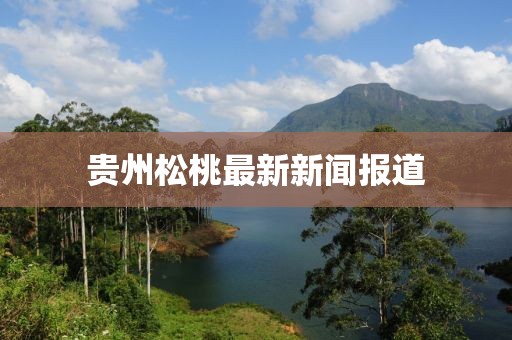 貴州松桃最新新聞報道