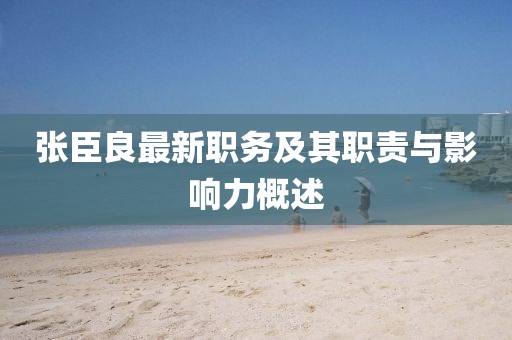 張臣良最新職務及其職責與影響力概述