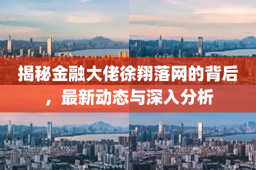 揭秘金融大佬徐翔落網的背后,最新動態與深入分析