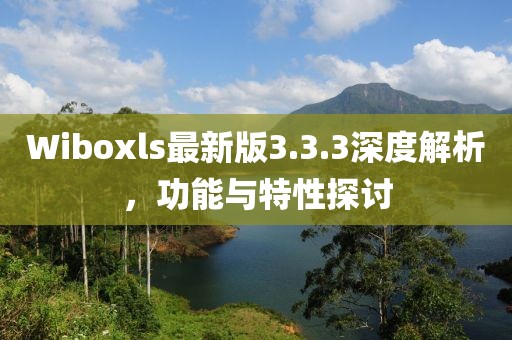 Wiboxls最新版3.3.3深度解析,功能與特性探討