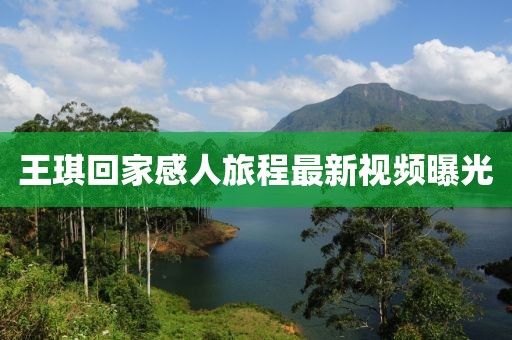 王琪回家感人旅程最新視頻曝光