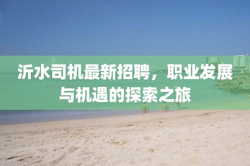 沂水司機(jī)最新招聘，職業(yè)發(fā)展與機(jī)遇的探索之旅