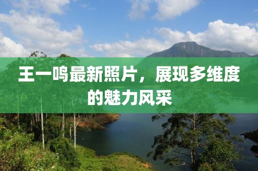 王一鳴最新照片,展現(xiàn)多維度的魅力風(fēng)采