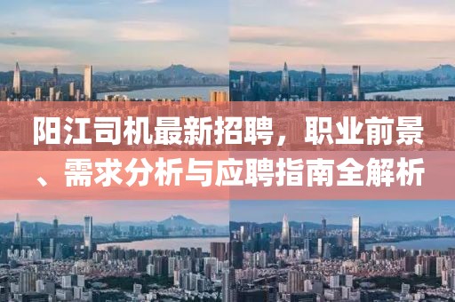 陽江司機最新招聘,職業前景、需求分析與應聘指南全解析