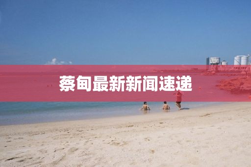 蔡甸最新新聞速遞