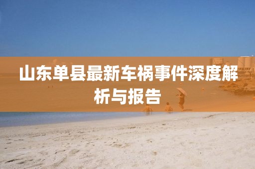 山東單縣最新車禍事件深度解析與報告