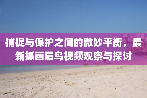 捕捉與保護之間的微妙平衡,最新抓畫眉鳥視頻觀察與探討