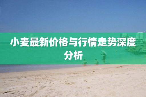 小麥最新價格與行情走勢深度分析