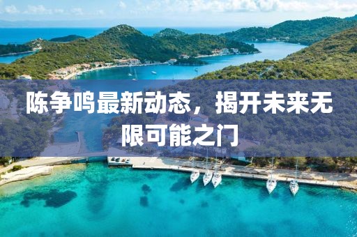 陳爭(zhēng)鳴最新動(dòng)態(tài),揭開未來(lái)無(wú)限可能之門