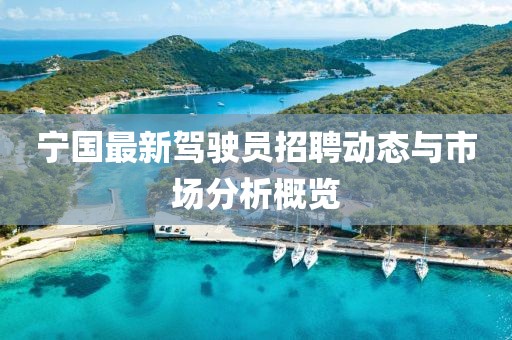 寧國最新駕駛員招聘動態(tài)與市場分析概覽