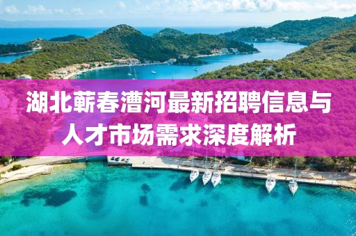 湖北蘄春漕河最新招聘信息與人才市場需求深度解析