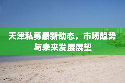 天津私募最新動態,市場趨勢與未來發展展望