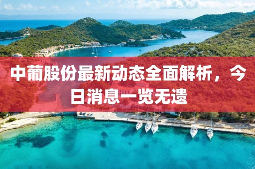中葡股份最新動態全面解析，今日消息一覽無遺