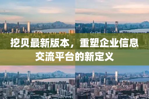 挖貝最新版本,重塑企業信息交流平臺的新定義