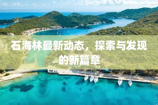 石海林最新動態,探索與發現的新篇章