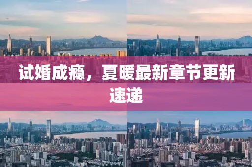 試婚成癮,夏暖最新章節(jié)更新速遞