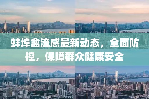 蚌埠禽流感最新動態，全面防控，保障群眾健康安全