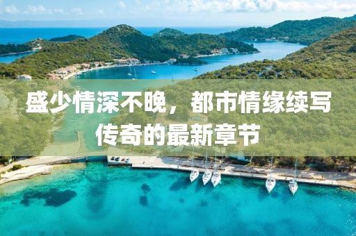 盛少情深不晚,都市情緣續寫傳奇的最新章節