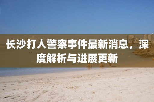 長沙打人警察事件最新消息,深度解析與進展更新