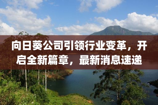 向日葵公司引領行業變革,開啟全新篇章,最新消息速遞