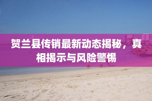 賀蘭縣傳銷最新動態(tài)揭秘,真相揭示與風(fēng)險警惕