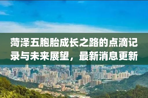菏澤五胞胎成長之路的點滴記錄與未來展望，最新消息更新