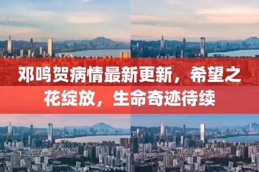 鄧鳴賀病情最新更新,希望之花綻放,生命奇跡待續(xù)