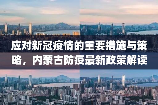 應對新冠疫情的重要措施與策略,內(nèi)蒙古防疫最新政策解讀