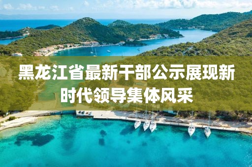 黑龍江省最新干部公示展現新時代領導集體風采