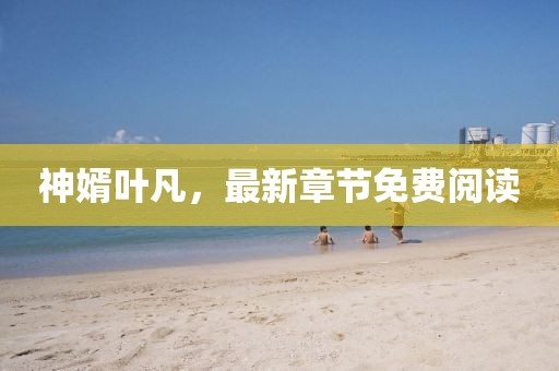 神婿葉凡,最新章節(jié)免費閱讀