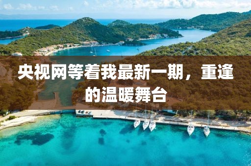 央視網等著我最新一期，重逢的溫暖舞臺