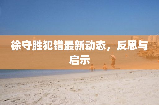 徐守勝犯錯最新動態,反思與啟示