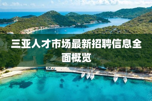 三亞人才市場最新招聘信息全面概覽