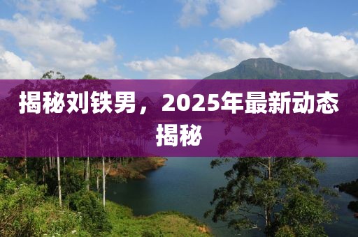 揭秘劉鐵男,2025年最新動態揭秘