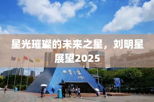 星光璀璨的未來之星,劉明星展望2025