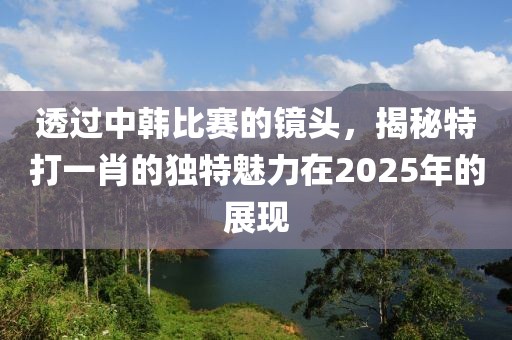透過中韓比賽的鏡頭，揭秘特打一肖的獨特魅力在2025年的展現