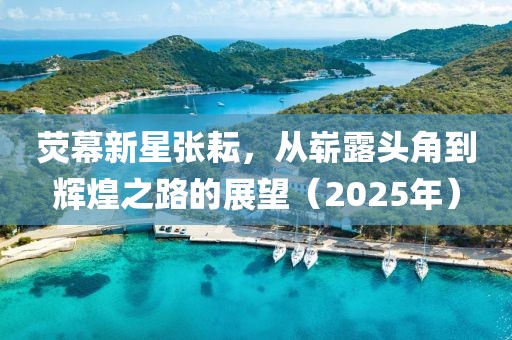 熒幕新星張耘,從嶄露頭角到輝煌之路的展望(2025年)