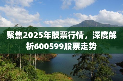 聚焦2025年股票行情,深度解析600599股票走勢