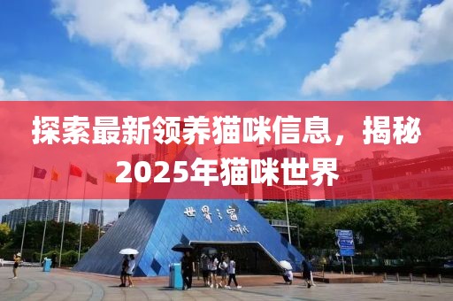 探索最新領養貓咪信息,揭秘2025年貓咪世界