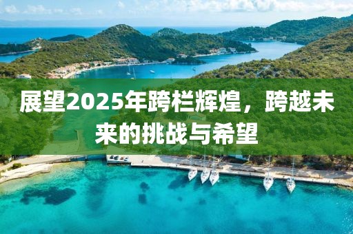 展望2025年跨欄輝煌,跨越未來的挑戰(zhàn)與希望